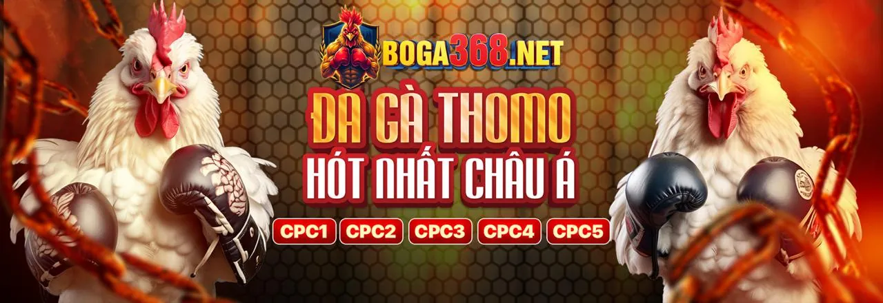 C88 Trang Chủ Chính Thức ra mắt tính năng cá cược thể thao mới